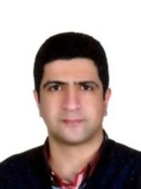 دکتر محمد مهدی کریمی