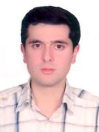 دکتر حامد  امیری فرد 