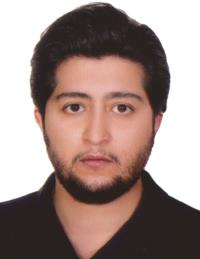 دکتر فرخ پاشازاده