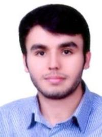 دکتر محمد مصطفی حریفی
