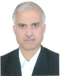 دکتر محمدرضا سعیدی فر