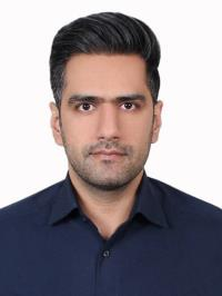 دکتر سید مصطفی مرتضوی
